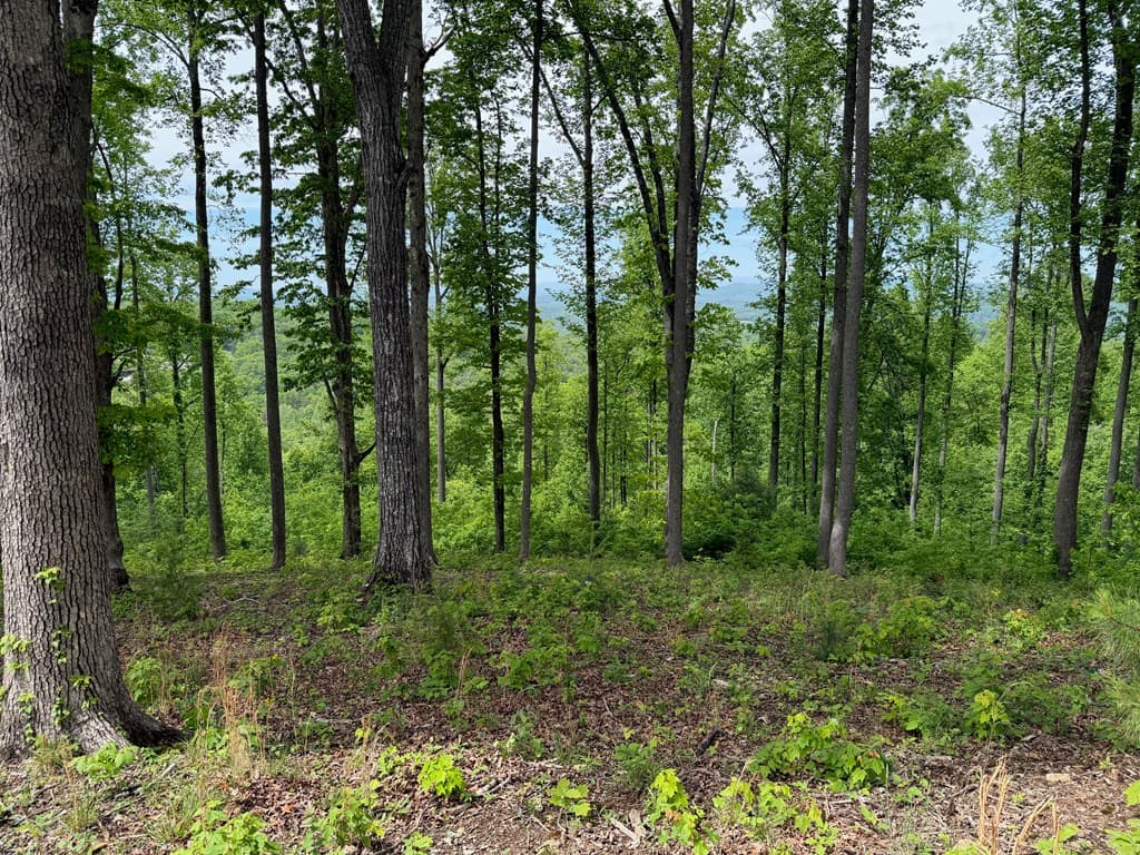 Lot 140 Highland Park, Blairsville GA 30512 - Photo
