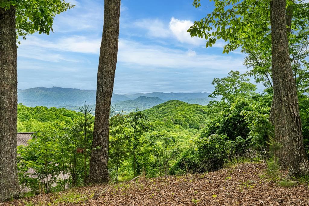 219 Lakeview Dr, Hayesville NC 28904 - Photo