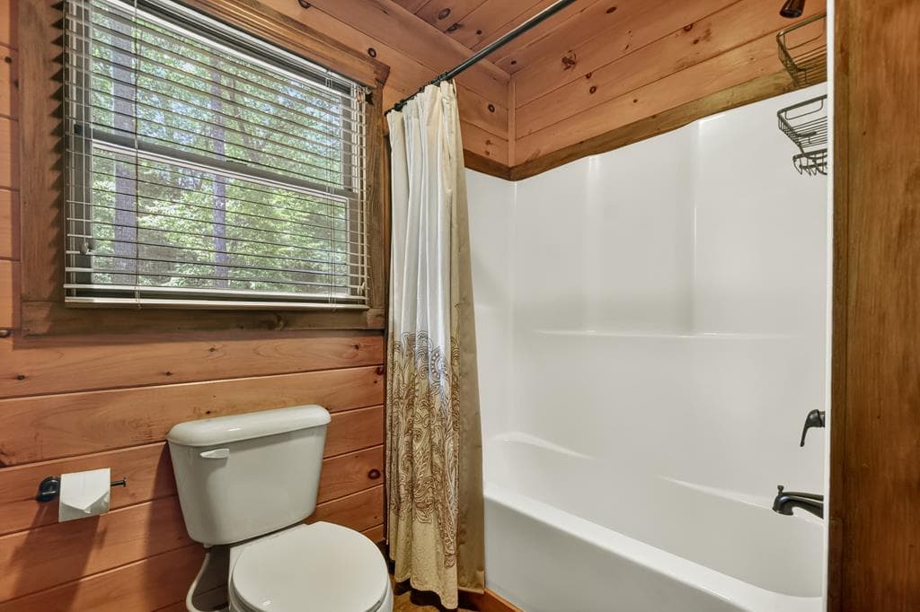 34 Dallas Lane, Blue Ridge GA 30513 - Photo