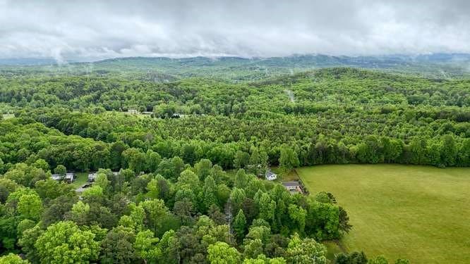 455 N Forest Circle, Blairsville GA 30512 - Photo