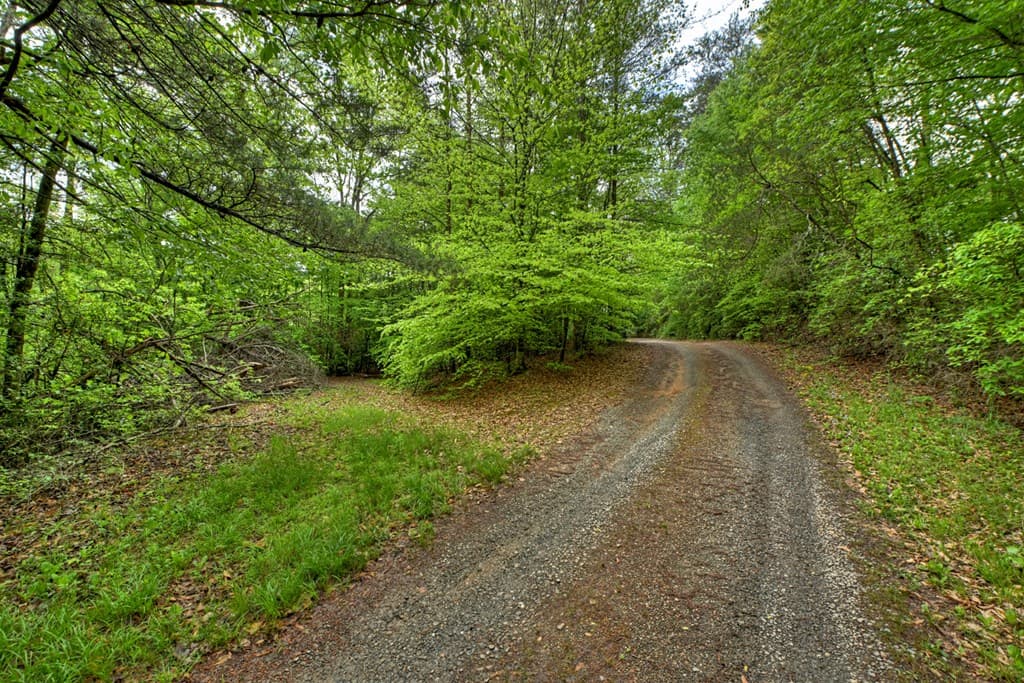 388 Jones Street, Blue Ridge GA 30513 - Photo