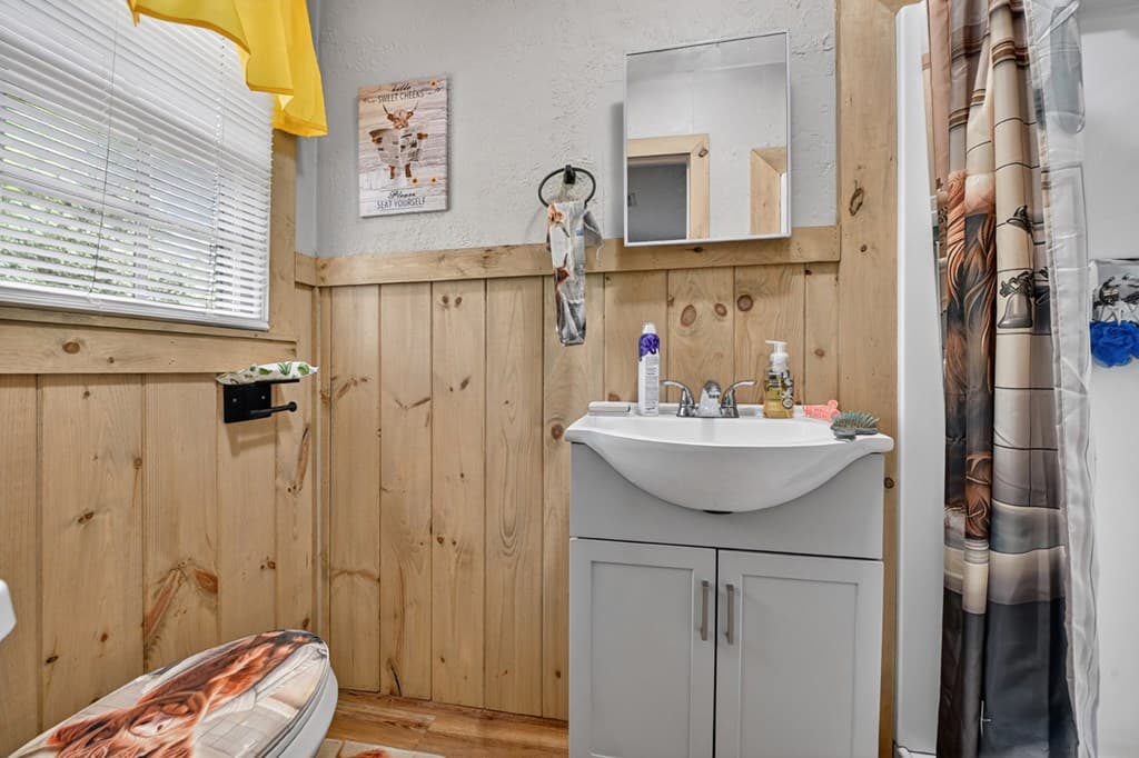 388 Jones Street, Blue Ridge GA 30513 - Photo