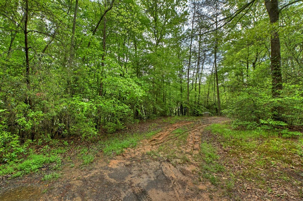 388 Jones Street, Blue Ridge GA 30513 - Photo