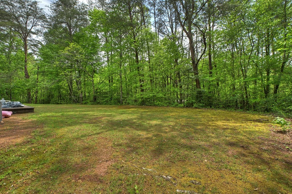 388 Jones Street, Blue Ridge GA 30513 - Photo