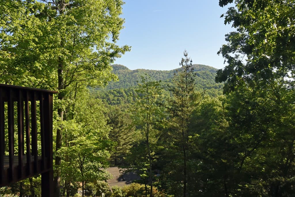 19 Howard Street, Blairsville GA 30512 - Photo