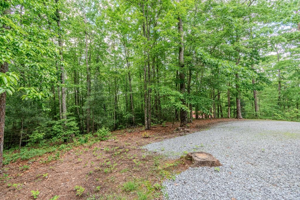 48 Timber Ridge Road, Blue Ridge GA 30513 - Photo