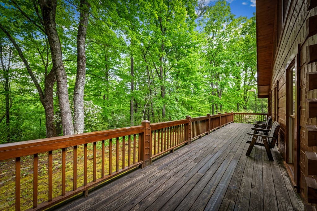 66 Windy Hill Drive, Cherry Log GA 30522 - Photo