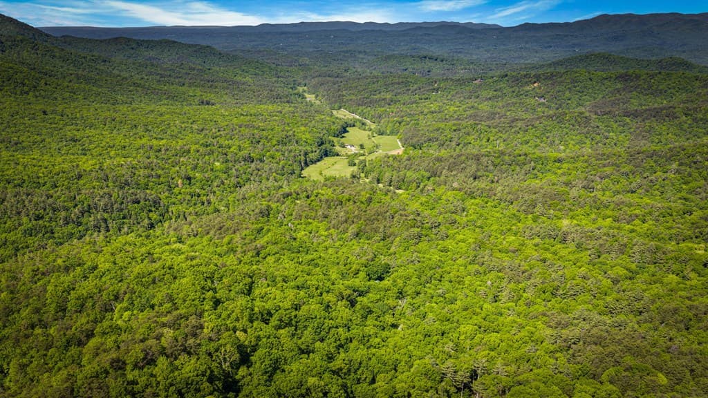 66 Windy Hill Drive, Cherry Log GA 30522 - Photo