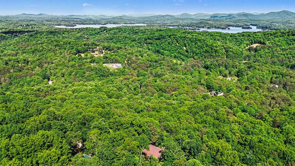 112 Eagles Nest Lane, Blue Ridge GA 30513 - Photo