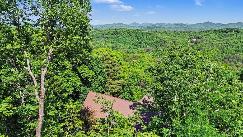 112 Eagles Nest Lane, Blue Ridge GA 30513 - Photo