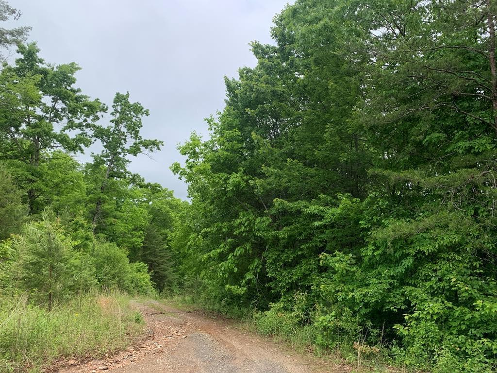 46A&46B Scottie Mountain Circle, Murphy NC 28906 - Photo