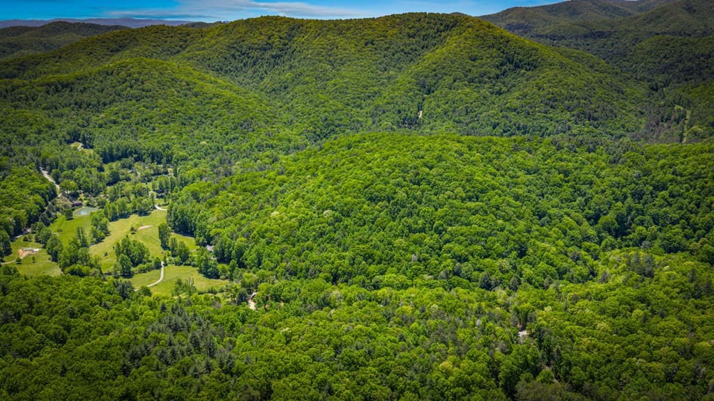 2100 Big Creek Road, Cherry Log GA 30522 - Photo