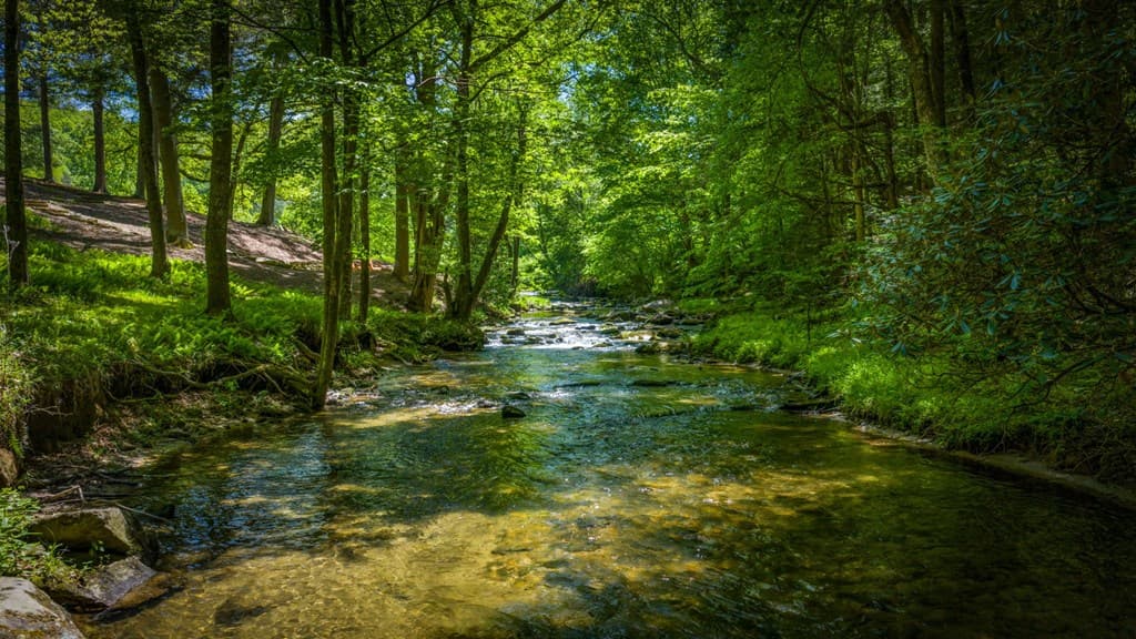 2100 Big Creek Road, Cherry Log GA 30522 - Photo