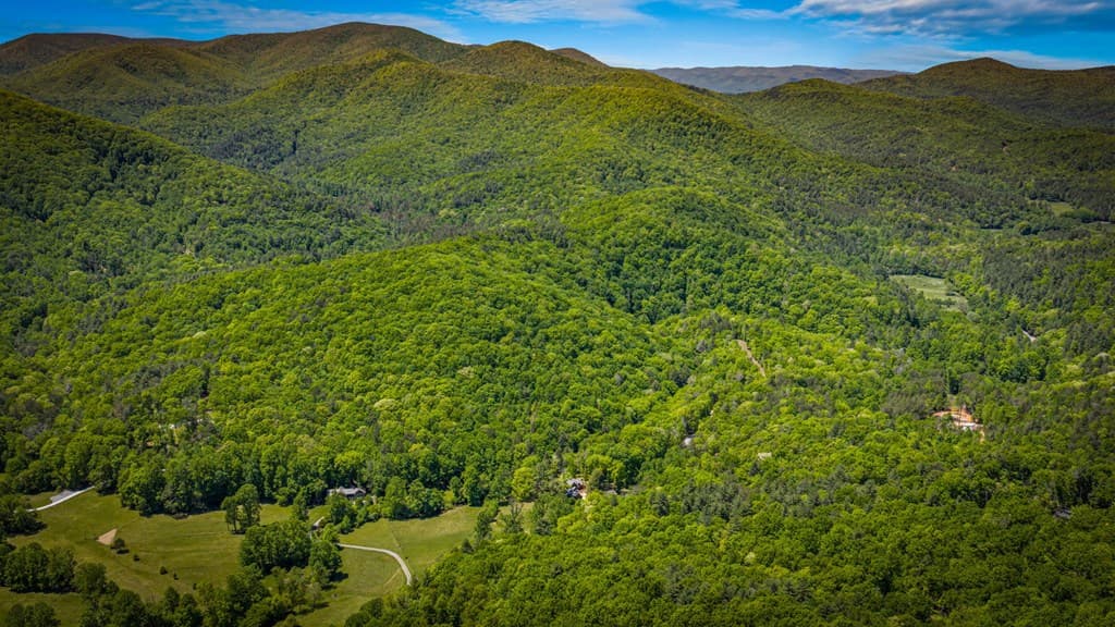 2100 Big Creek Road, Cherry Log GA 30522 - Photo