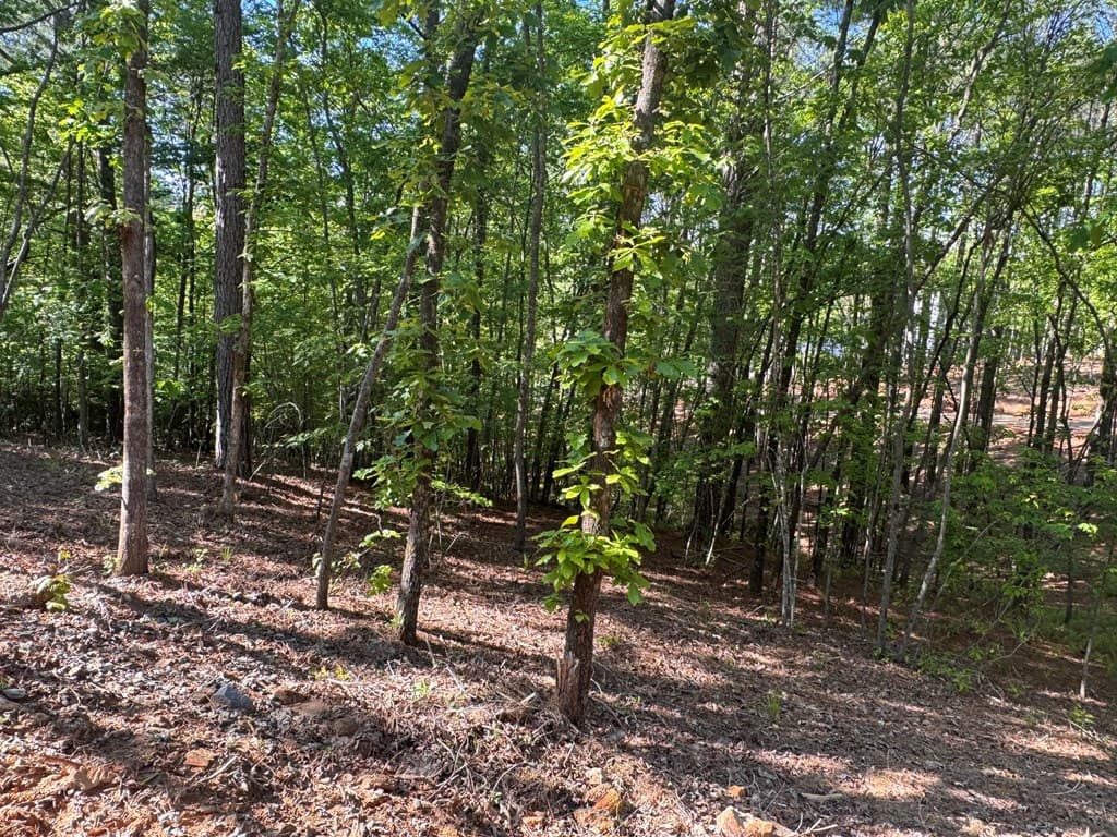 Lot 2 Grassy Creek Road, Copperhill TN 37317 - Photo
