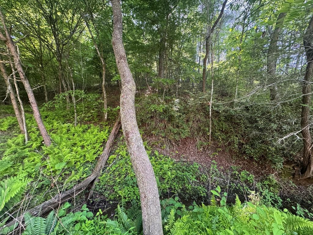 Lot 4 Grassy Creek Road, Copperhill TN 37317 - Photo