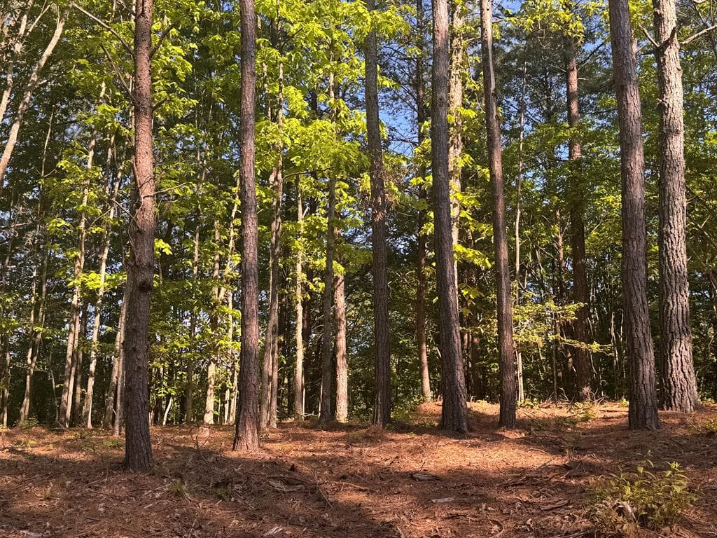 Lot 4 Grassy Creek Road, Copperhill TN 37317 - Photo