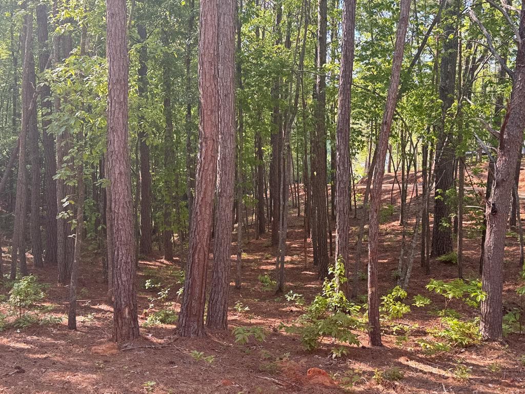 Lot 4 Grassy Creek Road, Copperhill TN 37317 - Photo