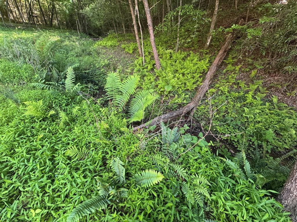 Lot 5 Grassy Creek Road, Copperhill TN 37317 - Photo