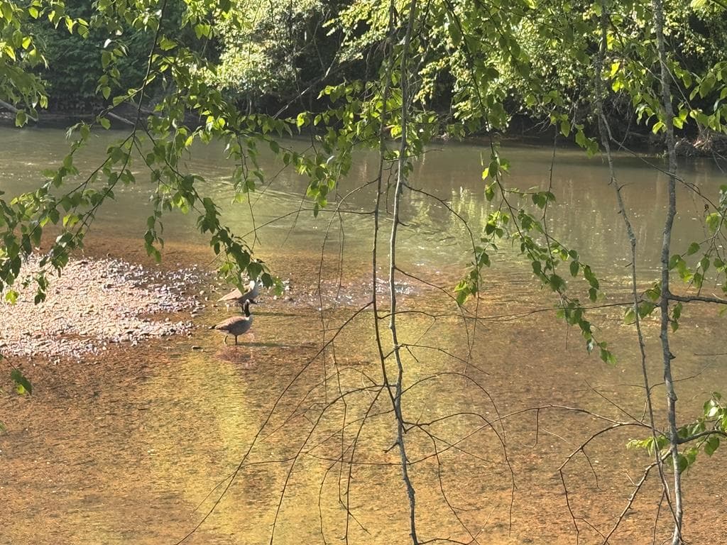Lot 5 Grassy Creek Road, Copperhill TN 37317 - Photo