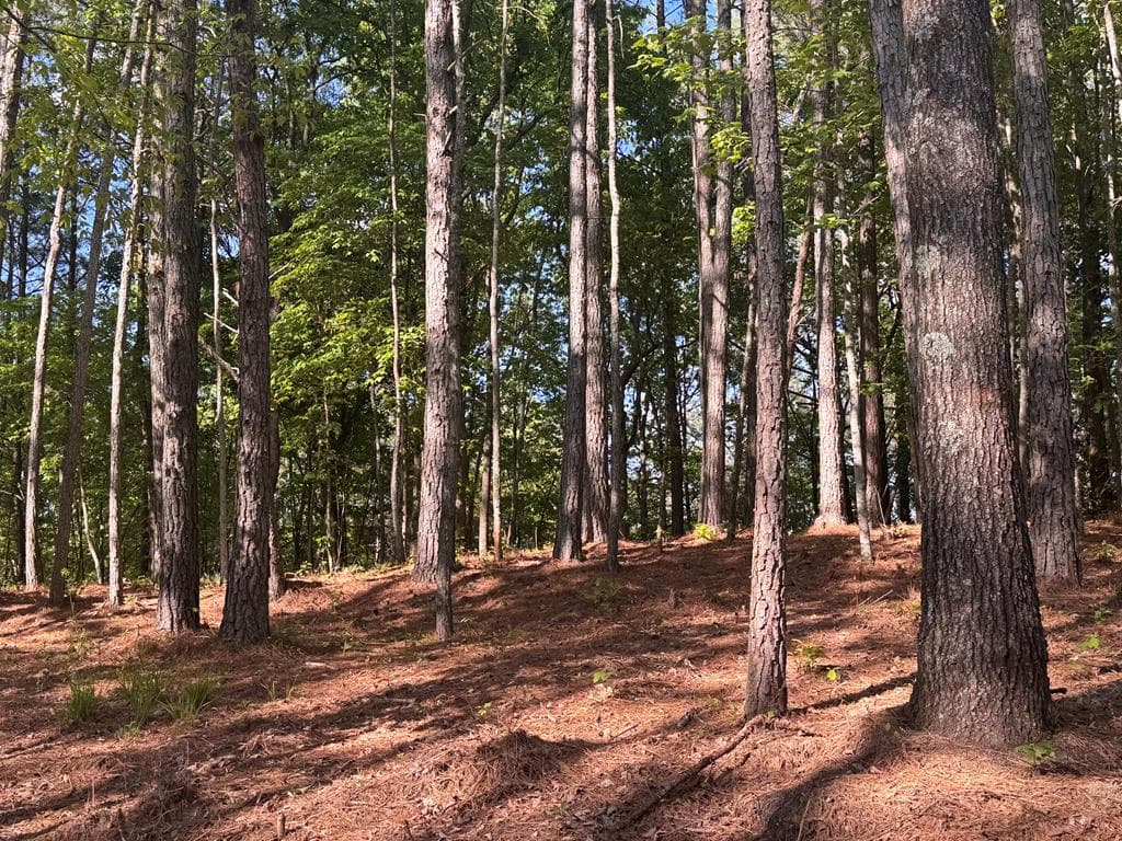 Lot 5 Grassy Creek Road, Copperhill TN 37317 - Photo