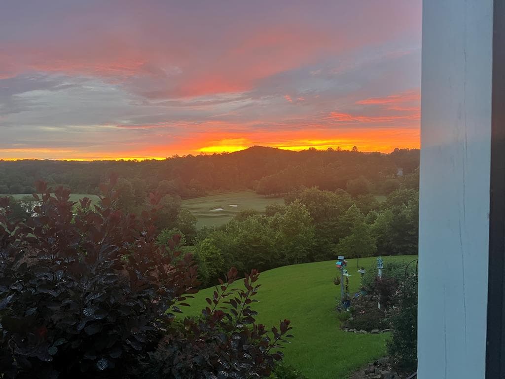 238 Old Farm View, Blairsville GA 30512 - Photo