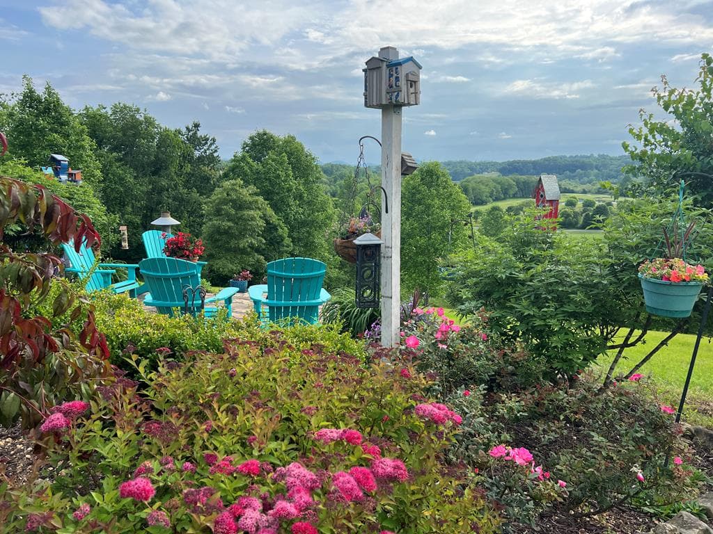 238 Old Farm View, Blairsville GA 30512 - Photo
