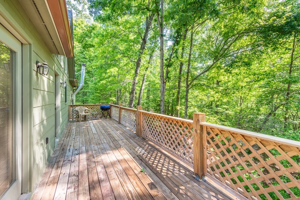 156 Modal Lane, Ellijay GA 30540 - Photo