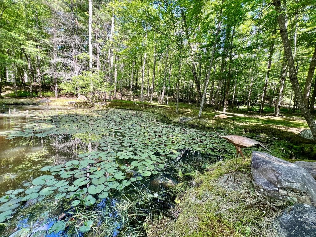504 Compass Creek Drive, Hayesville NC 28904 - Photo