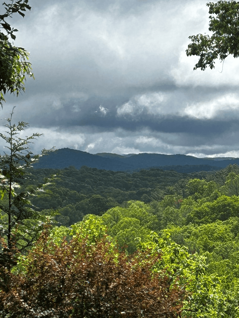 00 Lazy River Lane, Ellijay GA 30540 - Photo