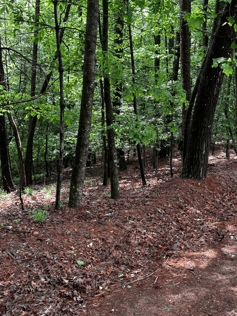00 Lazy River Lane, Ellijay GA 30540 - Photo