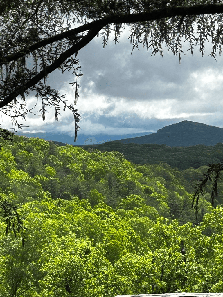 00 Lazy River Lane, Ellijay GA 30540 - Photo