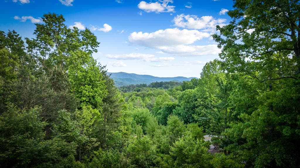 28 Hawkeye Ridge, Blue Ridge GA 30513 - Photo
