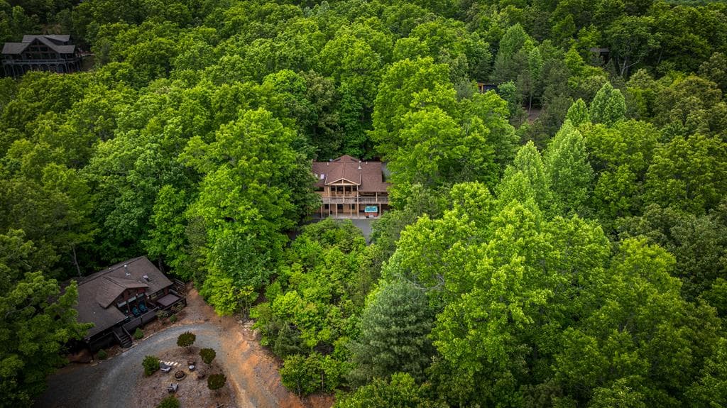 28 Hawkeye Ridge, Blue Ridge GA 30513 - Photo