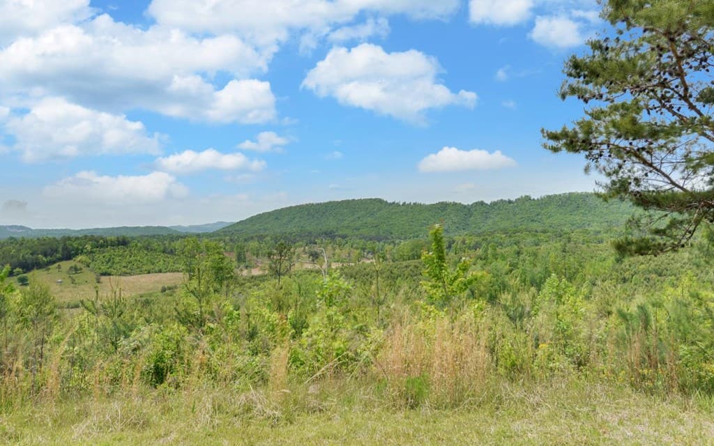 322 Deer Haven Trail, Murphy NC 28906 - Photo