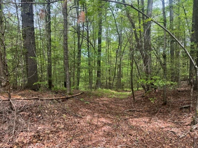 204 Grizzle Bear Lane, Suches GA 30572 - Photo