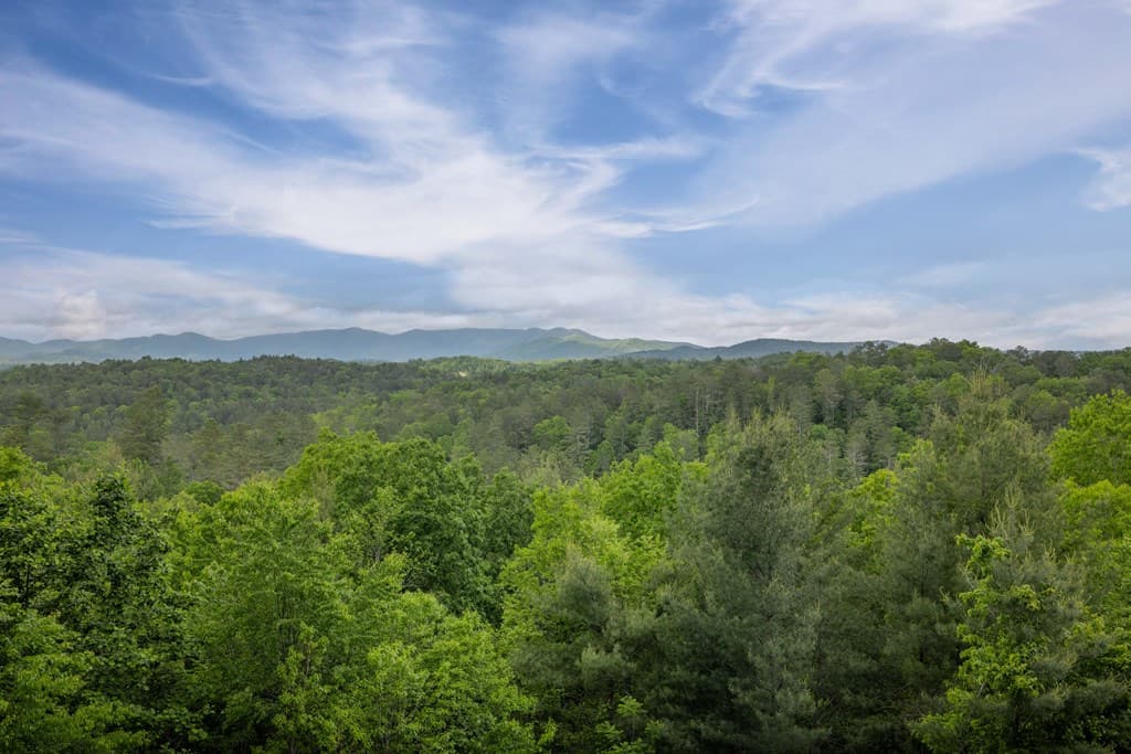 170 Wildwood Court, Ellijay GA 30540 - Photo