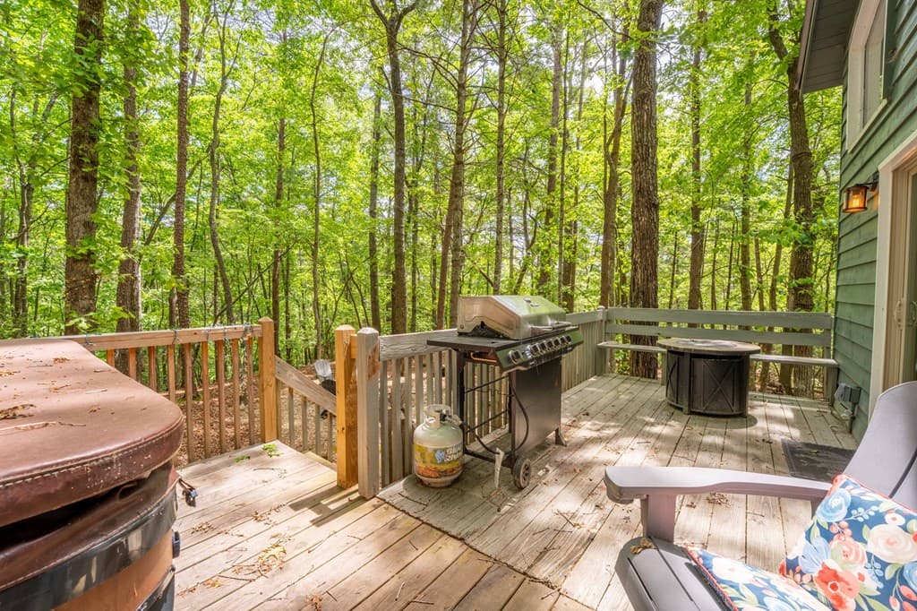 254 Star Lake Lane, Sautee Nacoochee GA 30571 - Photo