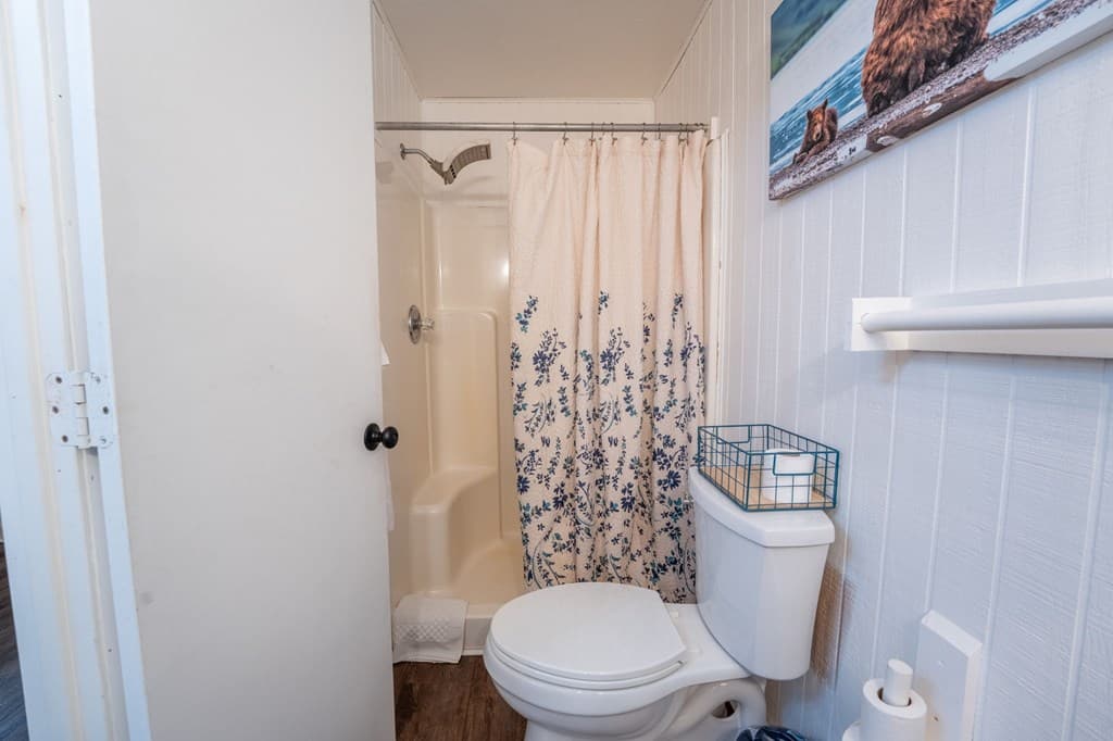 254 Star Lake Lane, Sautee Nacoochee GA 30571 - Photo
