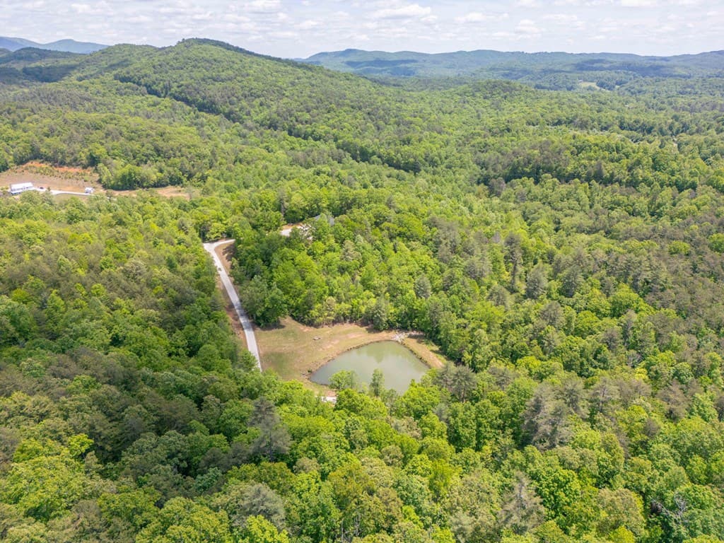 254 Star Lake Lane, Sautee Nacoochee GA 30571 - Photo