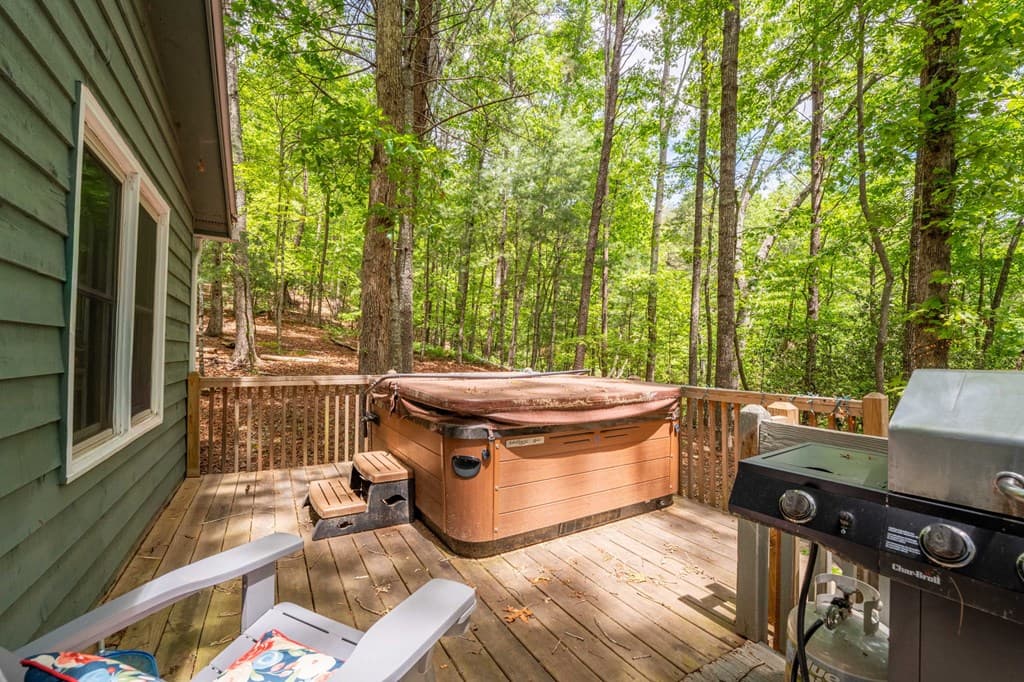 254 Star Lake Lane, Sautee Nacoochee GA 30571 - Photo
