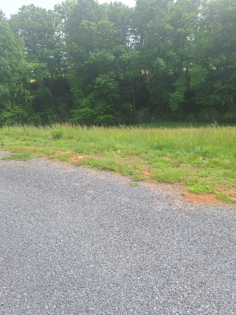 Lot 67 Hillside, Morganton GA 30560 - Photo