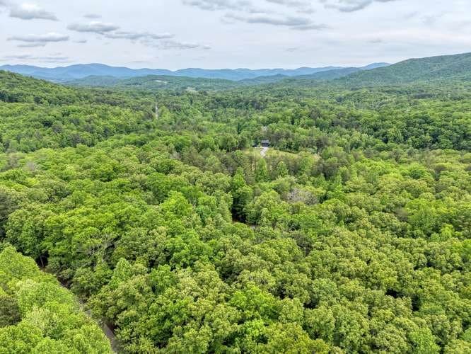 18 Canine Trail, Blairsville GA 30512 - Photo