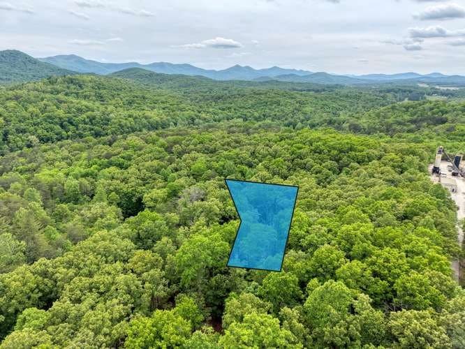 18 Canine Trail, Blairsville GA 30512 - Photo