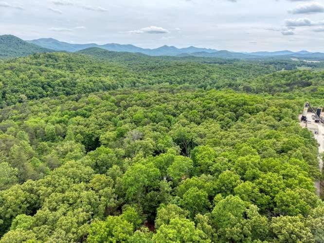 18 Canine Trail, Blairsville GA 30512 - Photo