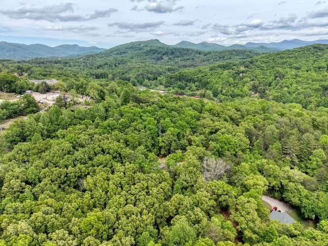 18 Canine Trail, Blairsville GA 30512 - Photo