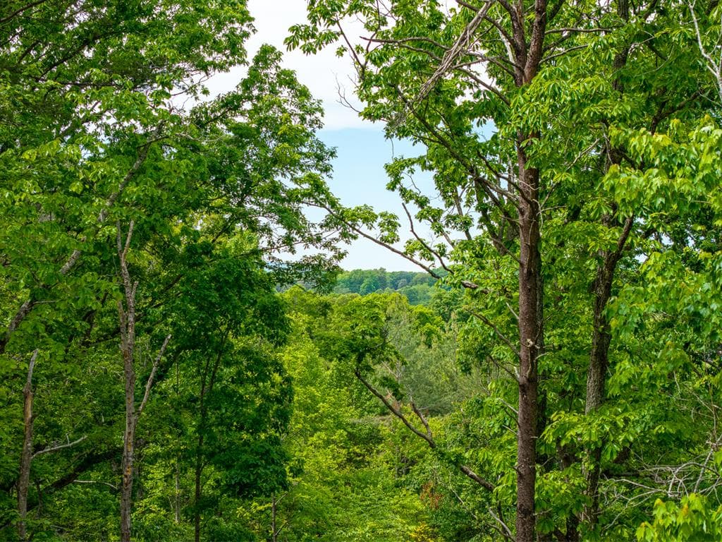 148 Virginia Drive, Blue Ridge GA 30513 - Photo