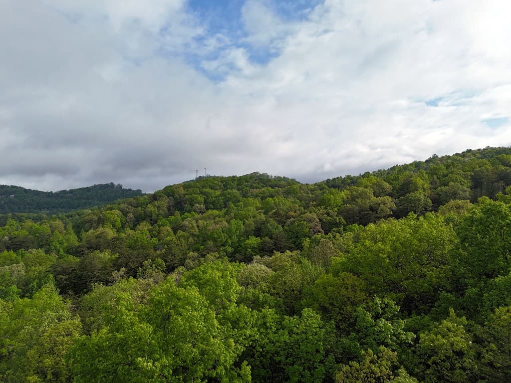 L93-95 Timberline, Young Harris GA 30582 - Photo