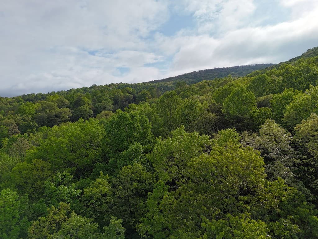 L93-95 Timberline, Young Harris GA 30582 - Photo