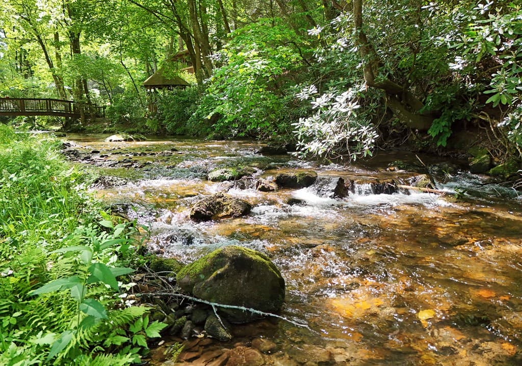 13111 Big Creek Road, Cherry Log GA 30522 - Photo